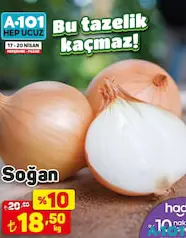 SOĞAN KG SOĞAN KG